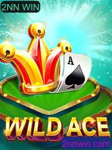 Descubra o Empolgante Mundo de WildAce: Estratégia e Competição